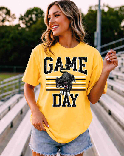game day panthers tshirt_gameday traditions