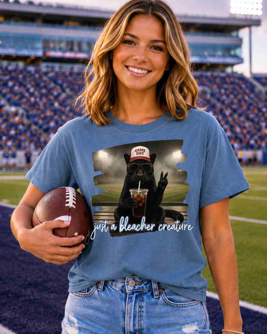 Bleacher Creature Ball Field Comfort Colors Tshirt